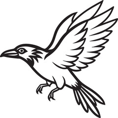 flying raven bird line art, black outline, vector and illustration, coloring book page line art drawing