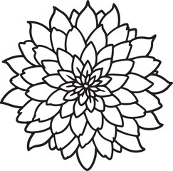 Obraz premium chrysanthemum line art, black outline, vector and illustration, coloring book page line art drawing