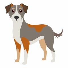 vector illustration of a dog isolated white background