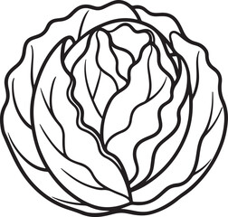 cabbage vegetable line art, black outline, vector and illustration, coloring book page line art drawing