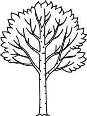 Obraz premium birch tree line art, black outline, vector and illustration, coloring book page line art drawing