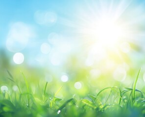 Obraz premium Sunny day, bright bokeh, green grass.