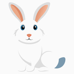 Rabbit white background 