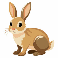 Rabbit white background 