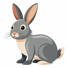vector illustration of a rabbit