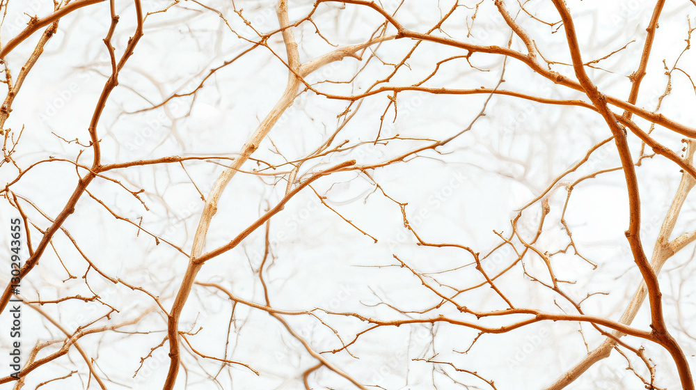 Poster nature-inspired overlay texture of delicate thin tree branches for artistic design