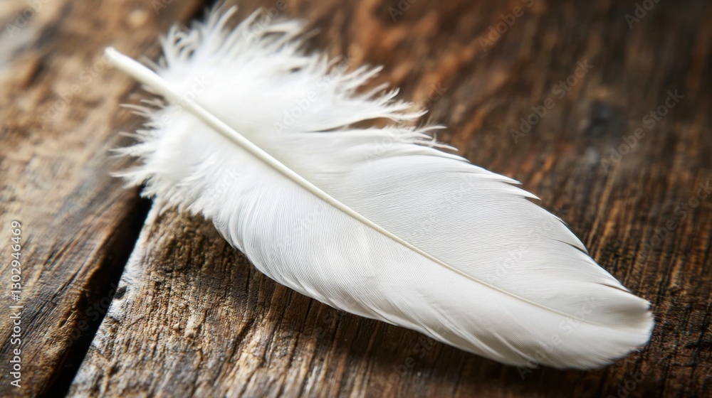 Poster white feather resting gently on a rustic wooden surface, creating a serene and minimalistic backdrop