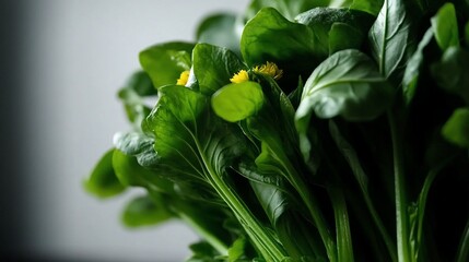 Obraz premium A close-up of fresh green flower buds surrounded by vibrant green leaves. One of the buds is beginning to open, revealing delicate yellow petals. The image showcases the early stages of blooming, emph