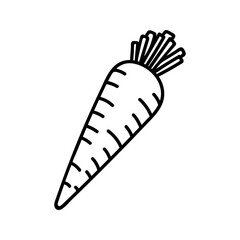 Doodle illustration of carrot. Hand drawn garden vegetables for healthy menu