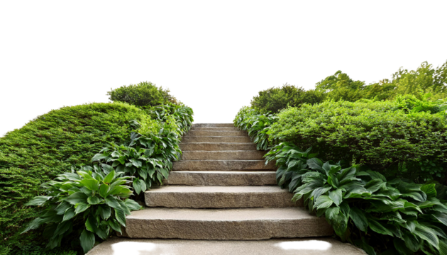 Serene stone steps lead through lush greenery in a tranquil garden setting.