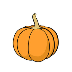 Vector pumpkin is orange with cream colored stems on white background