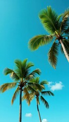 Lush green palms sway gently in a vibrant blue sky, paradise, breeze, leaves