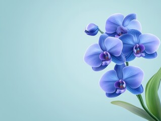 Vibrant blue orchids gracefully arranged against a soft pastel background