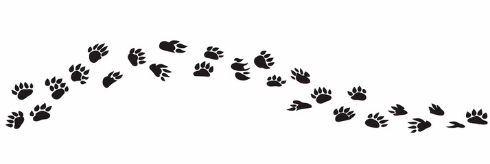 Obraz premium Vector cat paw prints