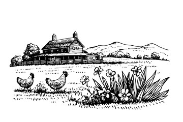 Fototapeta premium Countryside farm with hens, flowers, and mountains in the background during a sunny day