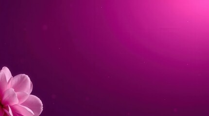 Fototapeta premium Pink Bloom on Magenta