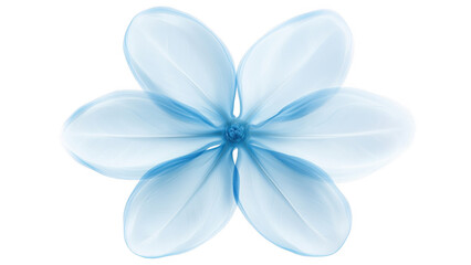 Light Blue Flower Blossom