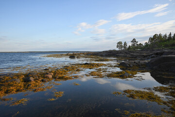 The coast of the White Sea.
