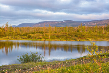 In summer on the Putorana plateau.