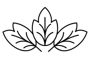 Botanical Herb and Leaf Line Art Illustration for Culinary Design

