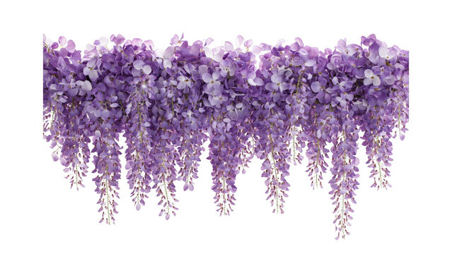 Purple wisteria flower garland backdrop
