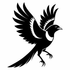 eagle vector illustration