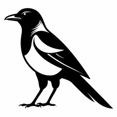 crow on a white background