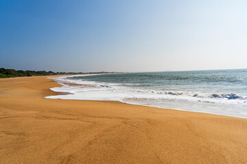 Printemps Éclatant : Jolie Plage au Sri Lanka