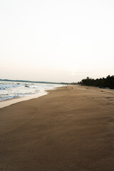 Printemps Éclatant : Jolie Plage au Sri Lanka