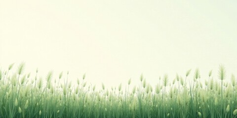 Fototapeta premium Serene Meadow A Tranquil Landscape of Verdant Grass and Delicate Seed Heads Under a Soft, Pale Sky