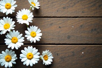 Obraz premium White paper cut daisies scattered on rustic wooden surface, garden, home decor