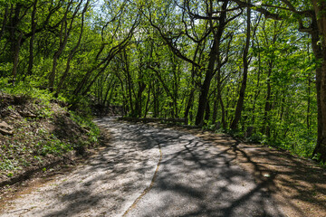 The slope of mount Mashuk, Stavropol Krai, Russia