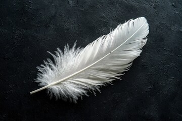 White feather on dark textured background: symbol of lightness and serenity