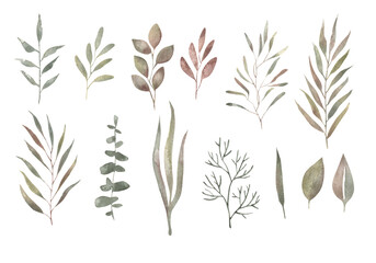 Painted leaves. Watercolor hand-drawn clip art with green leaves and branches.