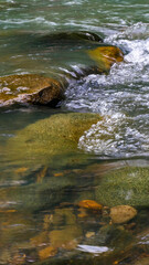 The clear river water flows over colorful and mossy rocks, creating small bubbles that enhance the fresh and calm natural atmosphere.