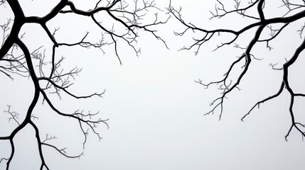 Obraz premium Bare Tree Branches Against Pale Gray Sky