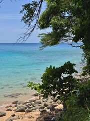 Caribbean landscape with view of a beach through tropical vegetation of Guadeloupe in the French...