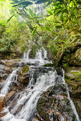 Obraz premium waterfall among rocks in a forest in Virginia.