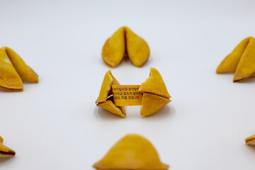 메모를 숨기고있는 맛있어 보이는 포츈쿠키