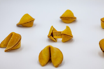 메모를 숨기고있는 맛있어 보이는 포츈쿠키