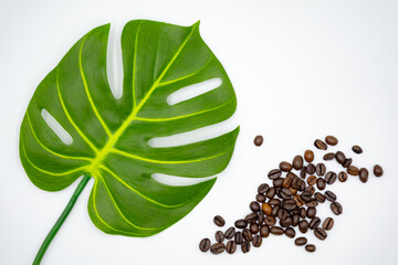 갈색 커피, 원두, 커피원두, 아이스커피