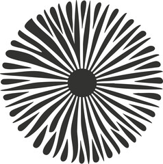 Abstract black and white circular pattern with radial symmetry.
