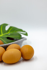 부활절에 사용하기 좋은 계란 누끼 이미지