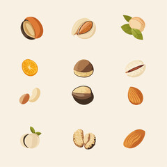Assorted Nut Collection: Almond, Macadamia, Cashew, Walnut, Pistachio and More