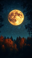 Naklejka premium full moon glowing above forest under starlit sky picture