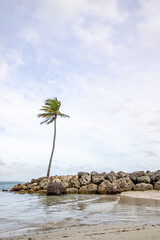 Romantic Caribbean sandy beach with palm trees, turquoise sea. Morning landscape shot at sunrise at...