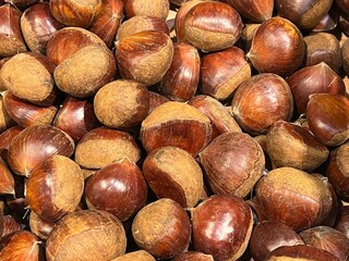 Raw chestnuts on the market 