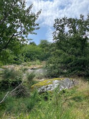 view of the coast of the sea