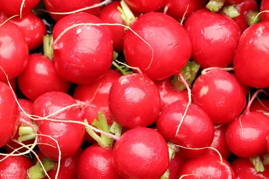 Many fresh radishes as background, top view
