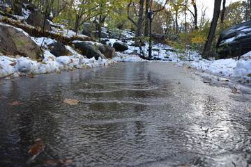 A trip to New York City is an unforgettable experience